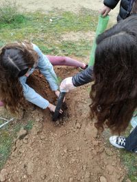 WhatsApp Image 2024-08-23 at 02.01.03 (2)